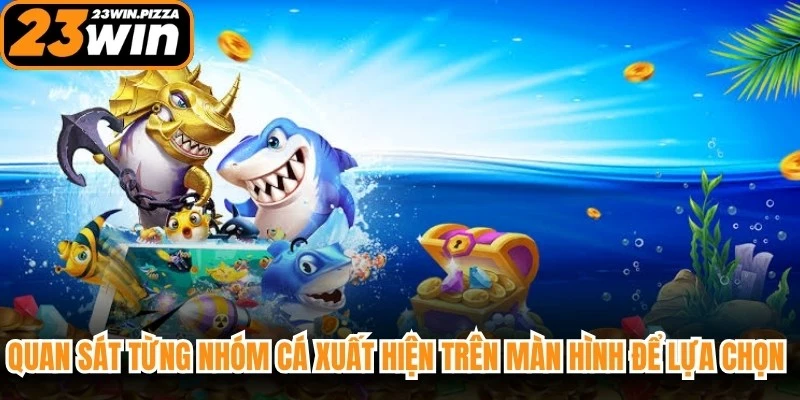 Quan sát từng nhóm cá xuất hiện trên màn hình để lựa chọn cách xử lý phù hợp